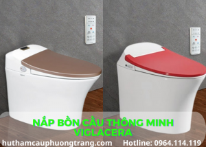 nap-bon-cau-thong-minh-viglacera