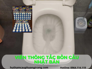 vien-thong-bon-cau-nhat-ban