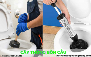 cay-thong-bon-cau