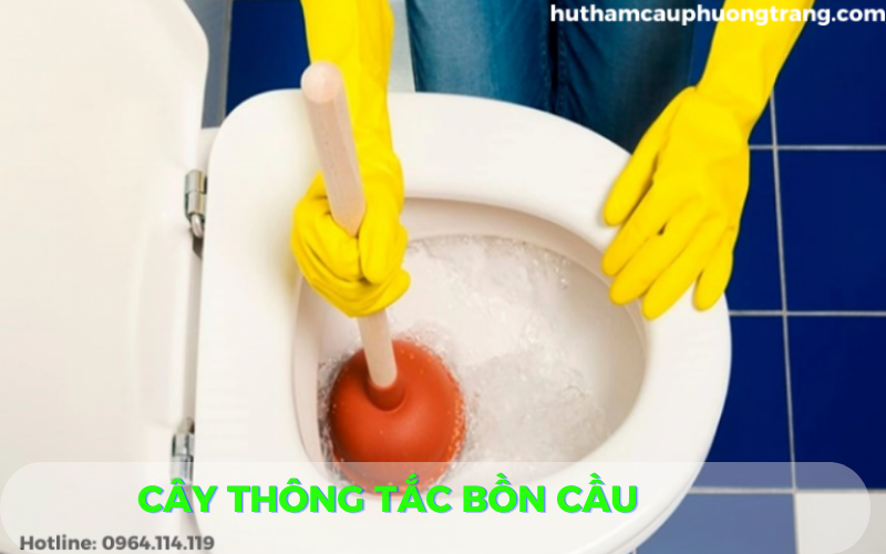 cay-thong-tac-bon-cau