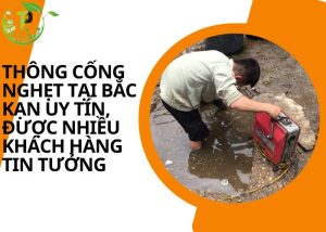 Thông cống nghẹt tại Bắc Kạn