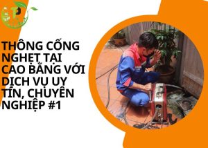 Thông cống nghẹt tại Cao Bằng