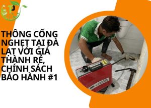 Thông cống nghẹt tại Đà Lạt