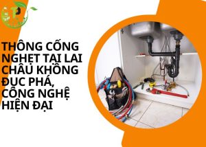 Thông cống nghẹt tại Lai Châu