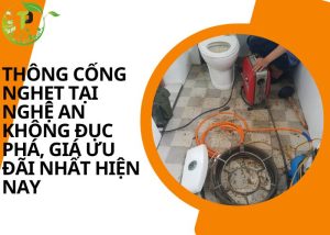 Thông cống nghẹt tại Nghệ An