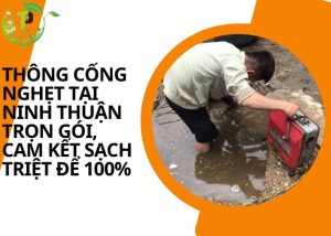 Thông cống nghẹt tại Ninh Thuận