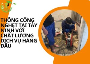 Thông cống nghẹt tại Tây Ninh