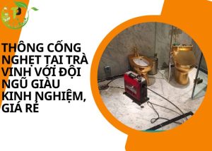 Thông cống nghẹt tại Trà Vinh