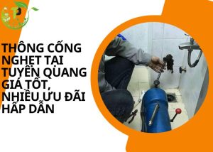 Thông cống nghẹt tại Tuyên Quang