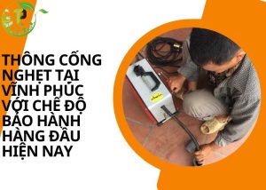 Thông cống nghẹt tại Vĩnh Phúc