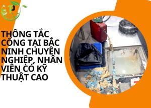 Thông tắc cống tại Bến Tre