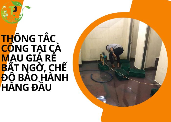 Thông tắc cống tại Cà Mau