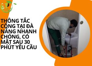 Thông tắc cống tại Đà Nẵng