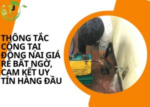 Thông tắc cống tại Đồng Nai