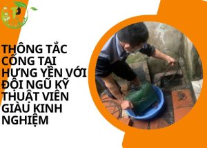 Thông tắc cống tại Hưng Yên