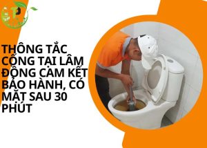 Thông tắc cống tại Lâm Đồng