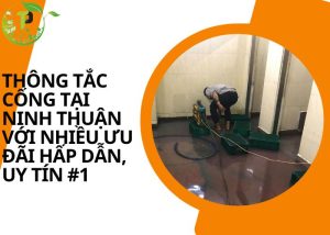 Thông tắc cống tại Ninh Thuận