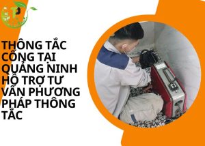 Thông tắc cống tại Quảng Ninh