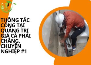 Thông tắc cống tại Quảng Trị