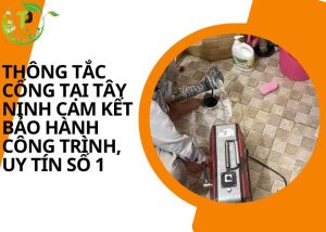 Thông tắc cống tại Tây Ninh