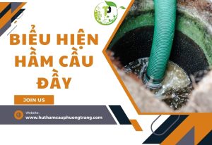 bieu hien ham cau day