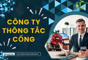 cong ty thong tac cong