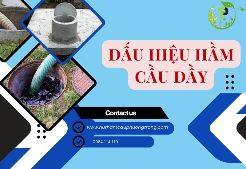 dau hieu ham cau day