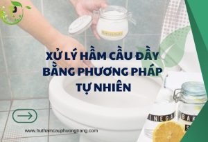 xu ly ham cau day bang phuong phap tu nhien