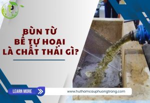 bun tu be tu hoai la chat thai gi