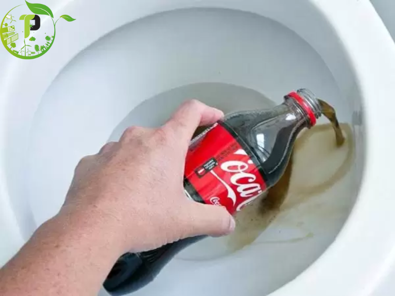 Cách thông bồn cầu bằng Coca (1)